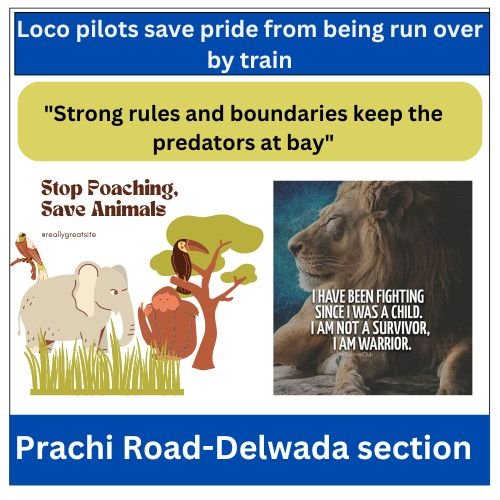 Alert loco pilots save pride from being run over by train (1)